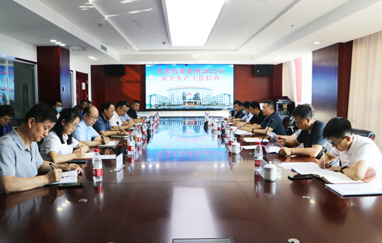 甘肅藥業集團黨委副書記、總經理竇生銘一行蒞臨隴神戎發進行安全生產專項檢查