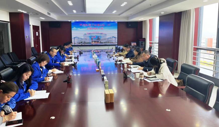 【“三抓三促”進行時】甘肅藥業(yè)集團財務(wù)總監(jiān)王麗華一行蒞臨隴神戎發(fā)開展財務(wù)專項調(diào)研