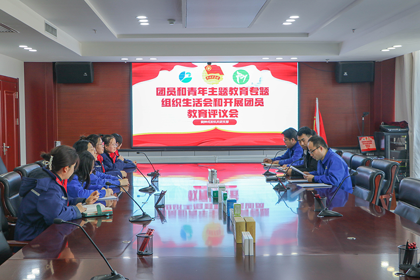 奮楫篤行守初心 砥礪奮進新征程 | 隴神戎發團總支組織開展團員和青年主題教育專題組織生活會