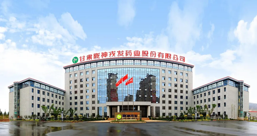 隴神戎發：堅持黨的領導，以“四個融合”推動企業邁向高質量發展之路