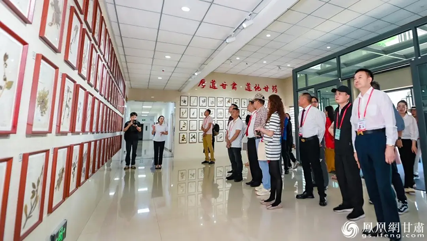 僑商探訪隴藥龍頭企業 以僑為橋拓中藥出海大道