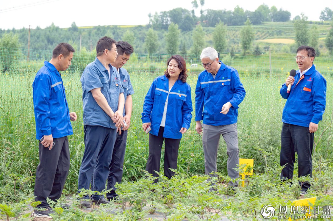 政企共建促發展 甘肅藥業集團牽頭助力鄉村振興