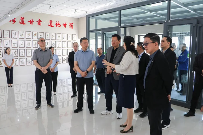 泰國衛生部代表團蒞臨隴神戎發參觀考察，深化中泰中醫藥合作交流