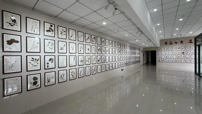 再添殊榮！甘肅隴神戎發藥業股份有限公司獲評甘肅省中醫藥文化宣傳教育基地