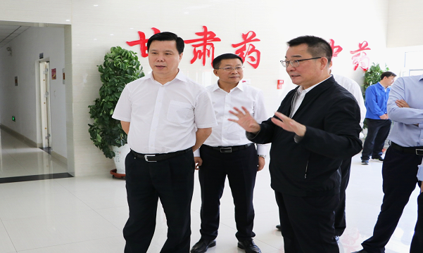 國家發改委財金司司長陳洪宛一行蒞臨隴神戎發考察調研