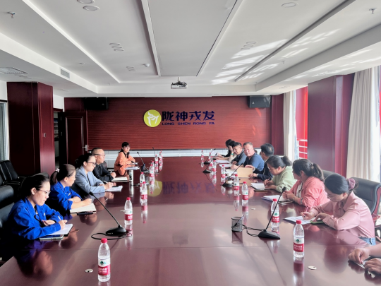 甘肅藥業投資集團工作組一行到隴神戎發開展研發費用專項檢查