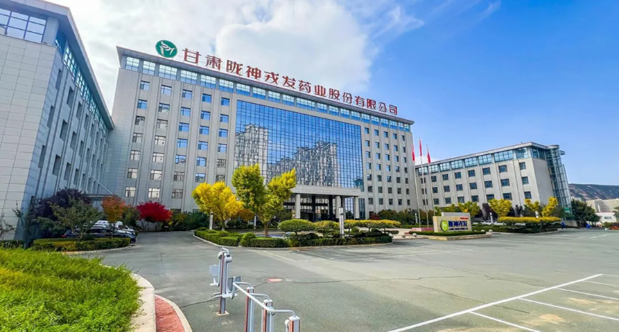 黨建引領(lǐng) 凝聚高質(zhì)量發(fā)展強(qiáng)勁動(dòng)能——隴神戎發(fā)以“紅色引擎”驅(qū)動(dòng)企業(yè)行穩(wěn)致遠(yuǎn)